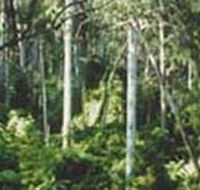 Lind National Park - Whitsundays Accommodation