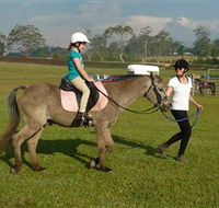 Port Macquarie Horse Riding Centre - Whitsundays Accommodation