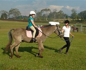 Port Macquarie Horse Riding Centre - Whitsundays Accommodation 0