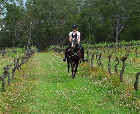 Port Macquarie Horse Riding Centre - Whitsundays Accommodation 1