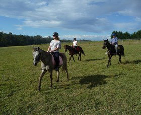 Port Macquarie Horse Riding Centre - Whitsundays Accommodation 5