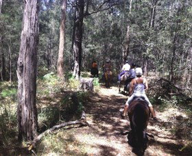 Port Macquarie Horse Riding Centre - Whitsundays Accommodation 4