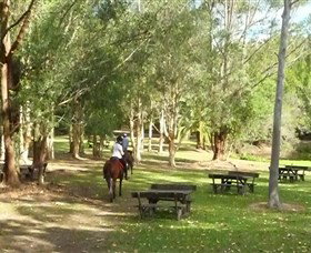 Port Macquarie Horse Riding Centre - Whitsundays Accommodation 6