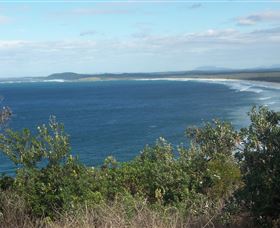 Delicate Beach - Whitsundays Accommodation 0