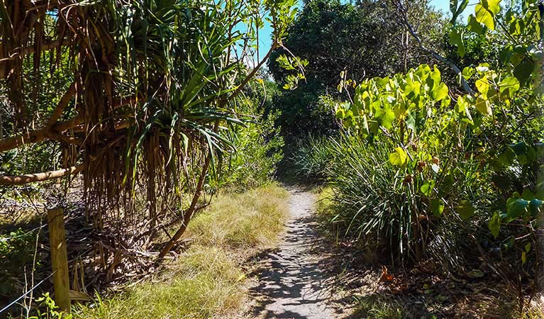 New Brighton NSW Whitsundays Accommodation