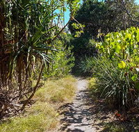 North Head walking track - Whitsundays Accommodation