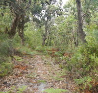 Kinchela Trig Lookout walk - Whitsundays Accommodation
