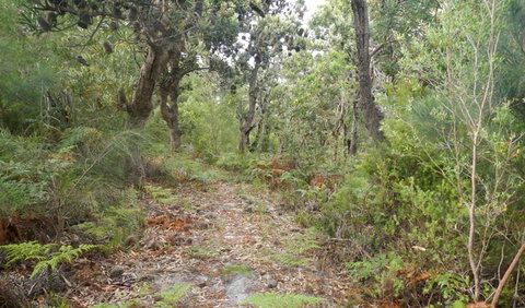 Kinchela Trig Lookout Walk - Whitsundays Accommodation 0
