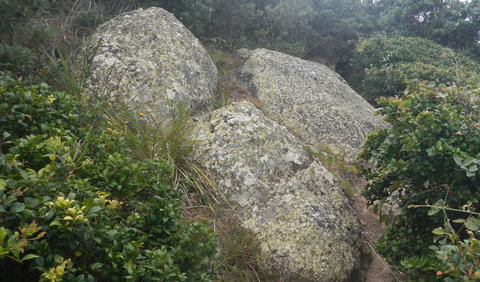 Korogoro Walking Track - Whitsundays Accommodation 2