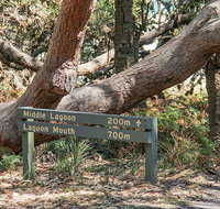 Middle Lagoon walking track - Whitsundays Accommodation