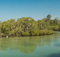 Tyagarah Nature Reserve - Whitsundays Accommodation