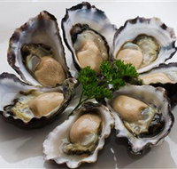 Tathra Oysters - Whitsundays Accommodation