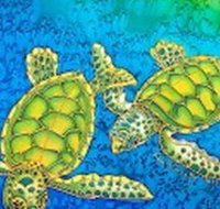 Sea Silks Gallery - Whitsundays Accommodation