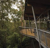 Tarkine Forest Adventures - Dismal Swamp - Whitsundays Accommodation