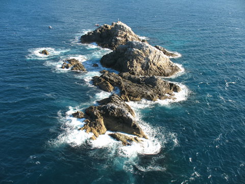 Cape Byron Marine Park - Whitsundays Accommodation 1