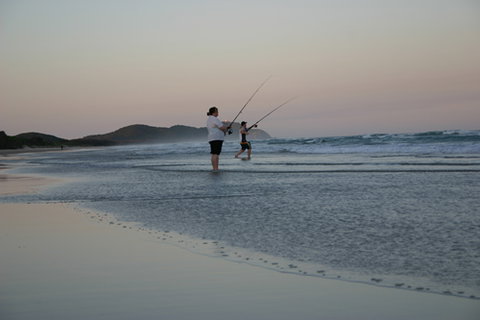 Cape Byron Marine Park - Whitsundays Accommodation 2