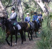 Mirravale Horse Riding School - Whitsundays Accommodation