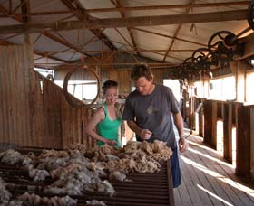Peron Homestead - Whitsundays Accommodation 2
