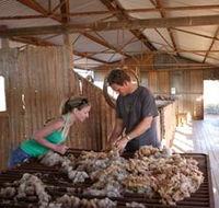 Peron Homestead - Whitsundays Accommodation