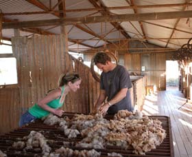 Peron Homestead - Whitsundays Accommodation 0