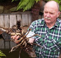 Lobster Ponds - Whitsundays Accommodation