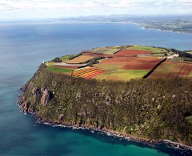 Table Cape - Whitsundays Accommodation 0