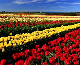 Table Cape - Whitsundays Accommodation 2