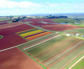 Table Cape - Whitsundays Accommodation 4