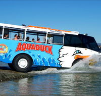 Aquaduck Safaris - Whitsundays Accommodation