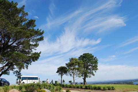 South Coast Scenic Tours - Whitsundays Accommodation 6