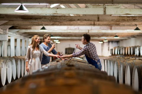 Seppeltsfield Winery Tours - Whitsundays Accommodation 7