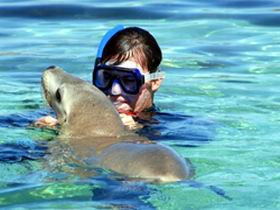 Gawler Ranges Wilderness Safaris - Whitsundays Accommodation 2