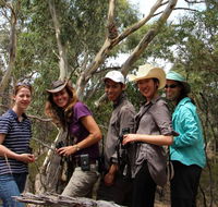 Echidna Walkabout Nature Tours - Whitsundays Accommodation