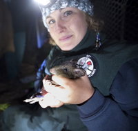 Naturewise at Tidbinbilla - Whitsundays Accommodation