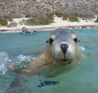 Calypso Star Charters - Whitsundays Accommodation