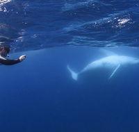 Sunreef Mooloolaba - Whitsundays Accommodation