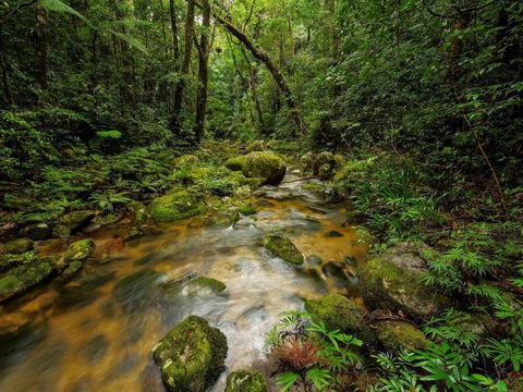 North Queensland Wildscapes Phototours - Whitsundays Accommodation 2