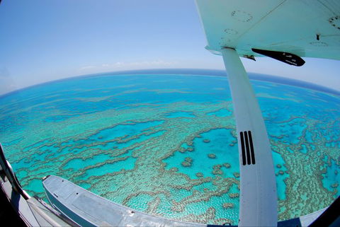 Air Whitsunday Seaplanes - Whitsundays Accommodation 1
