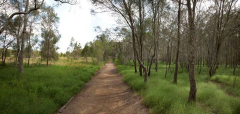 Billai Dhagun Circuit (Place Of She-Oaks) - Whitsundays Accommodation 0