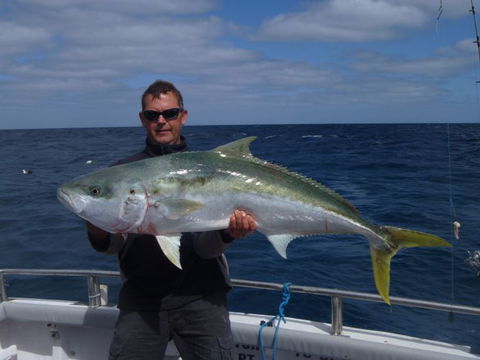 Reef Encounters Fishing Charters. - Whitsundays Accommodation 12