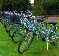 Barossa Bike  - Whitsundays Accommodation