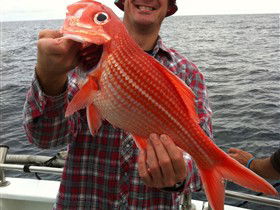 Goin' Off Safaris - Whitsundays Accommodation 0