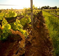 Kaesler Old Vine Vineyard Tour - Whitsundays Accommodation