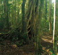 Tullawallal circuit - Whitsundays Accommodation