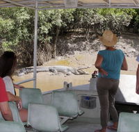 Whitsunday Crocodile Safari - Whitsundays Accommodation
