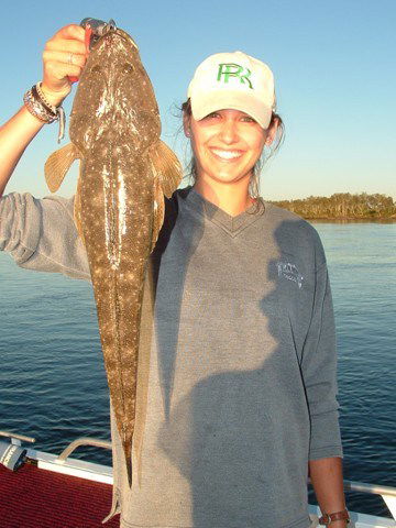 Reel Time Charters Yamba - Whitsundays Accommodation 1