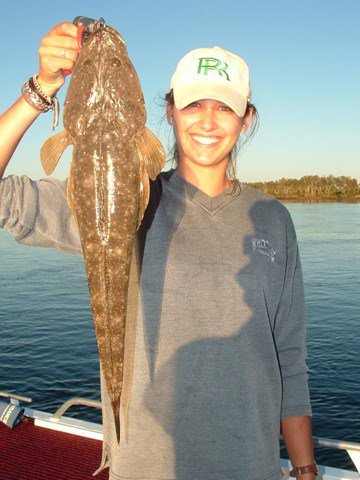 Reel Time Charters Yamba - Whitsundays Accommodation 2