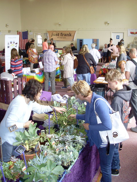 Health Harmony And Happiness Festival - Whitsundays Accommodation 0