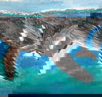 Kaz Art-Whitewash Gallery - Whitsundays Accommodation