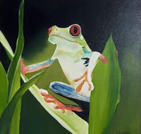 Toukley District Arts Society  Information Centre - Whitsundays Accommodation